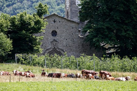 Die Kirche Sitz des Museums
