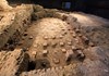 Calidarium