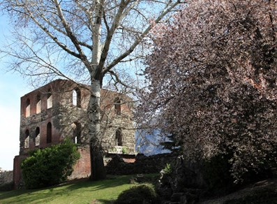 In primavera