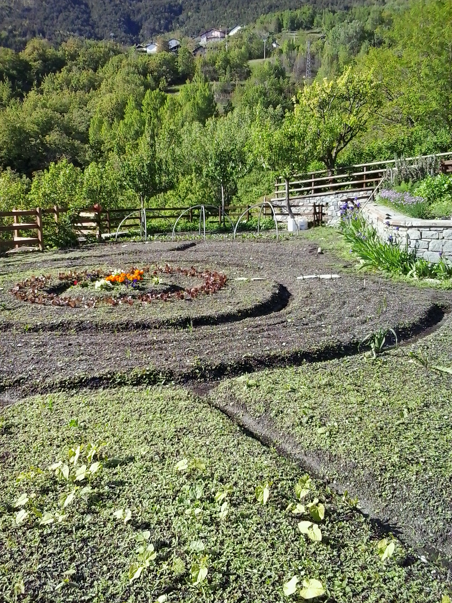 The vegetable garden
