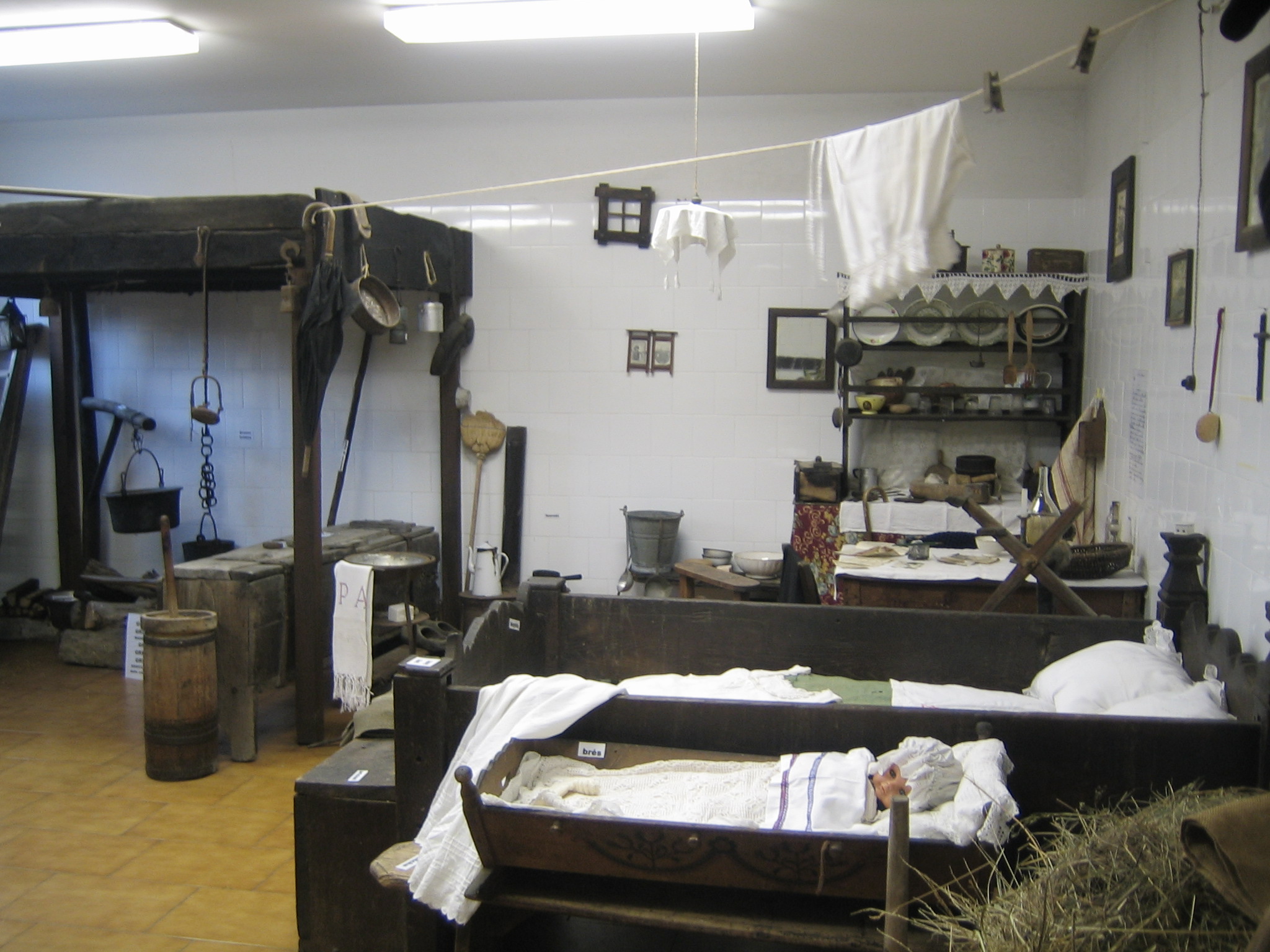 The museum