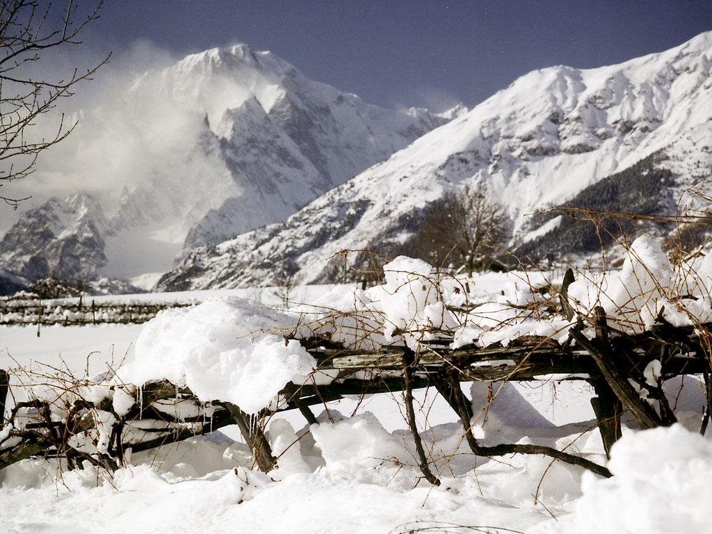 Vigneti sotto la neve a Morgex