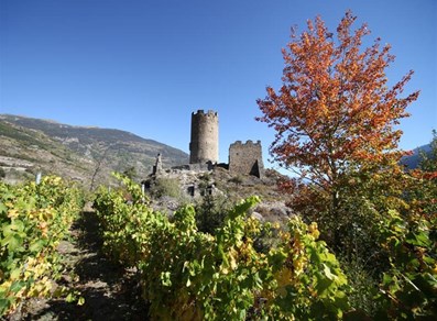 Villeneuve - vignobles
