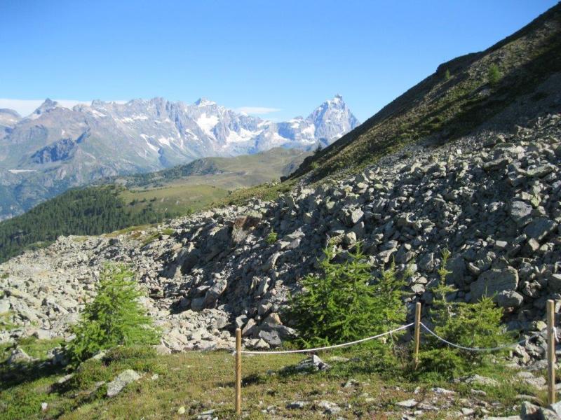 Vue d'ensemble