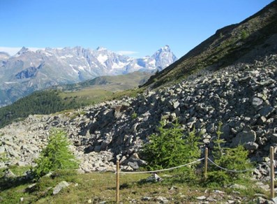 Panoramic view