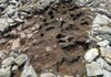 Remains