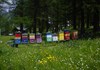 Beehives
