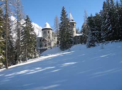 Under the snow