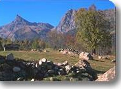 Vista del parque