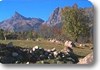 Vista del parque