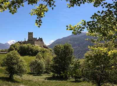 Castle of Cly