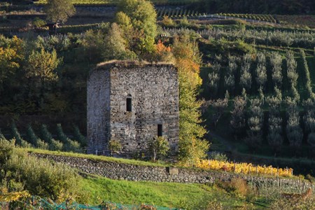 Tour de la Plantà