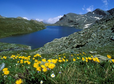 Parco Mont Avic