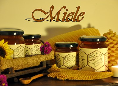Il miele prodotto in azienda