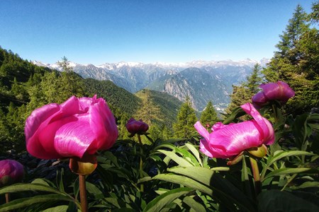Col Fenêtre