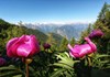 Col Fenêtre
