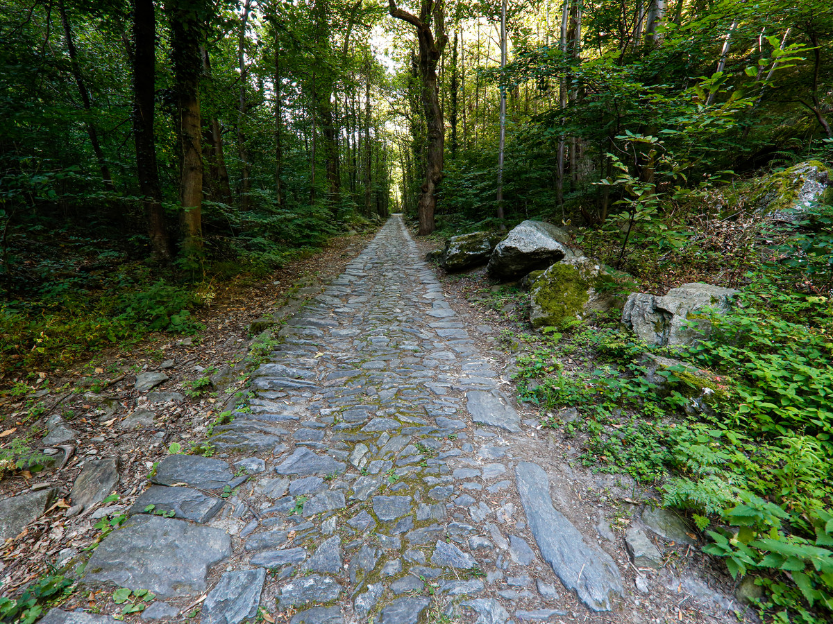 Path