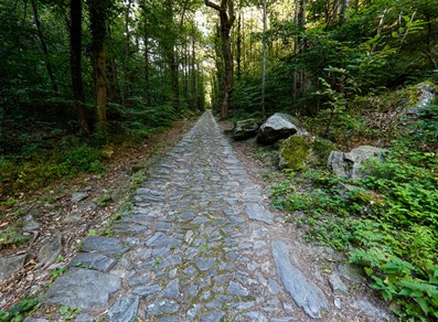 Path