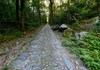Path