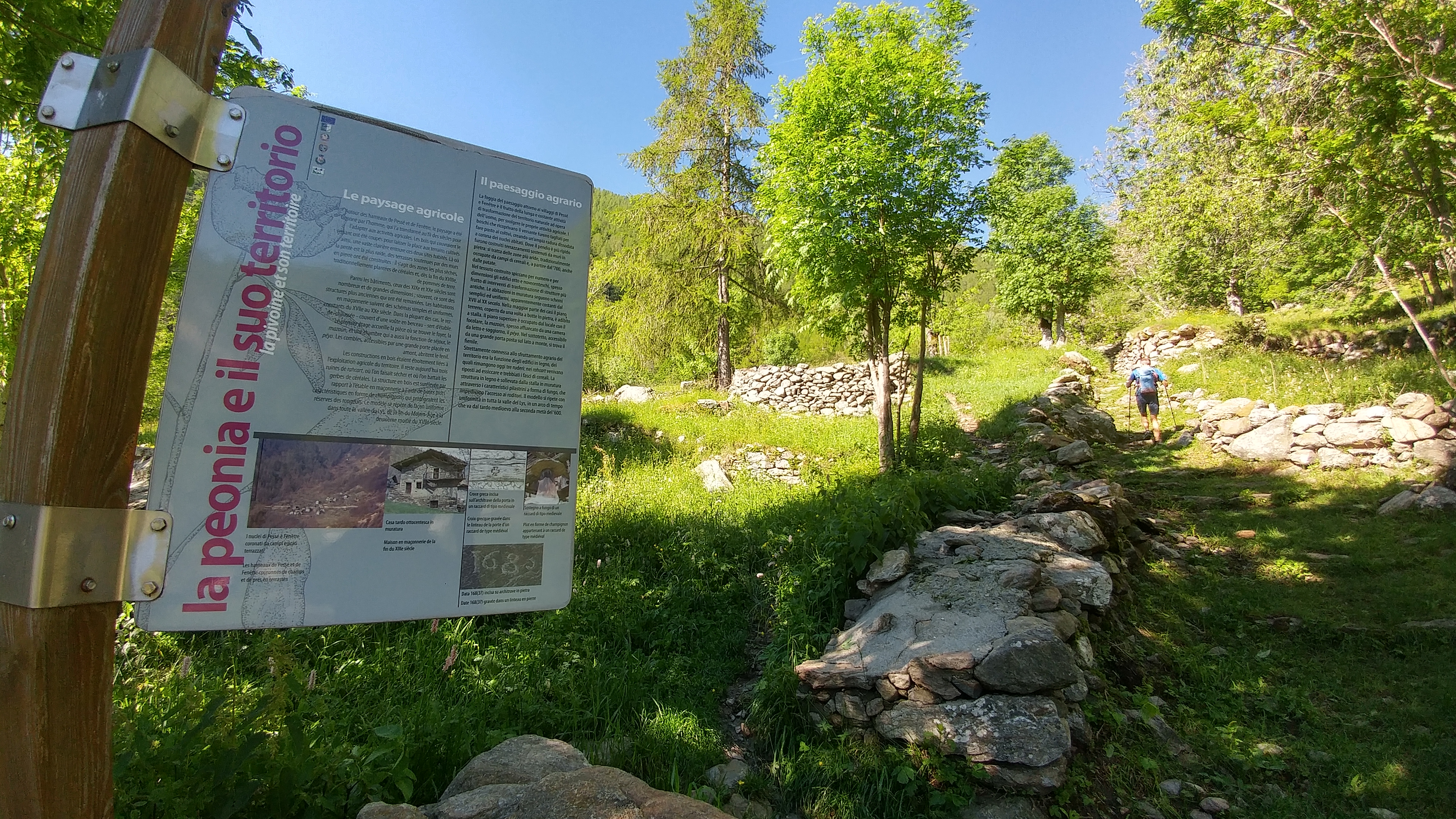 mule track towards Col Fenêtre