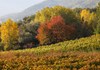 Colori autunnali a Saint-Christophe