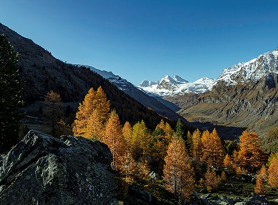 Otoño en Val di Rhêmes