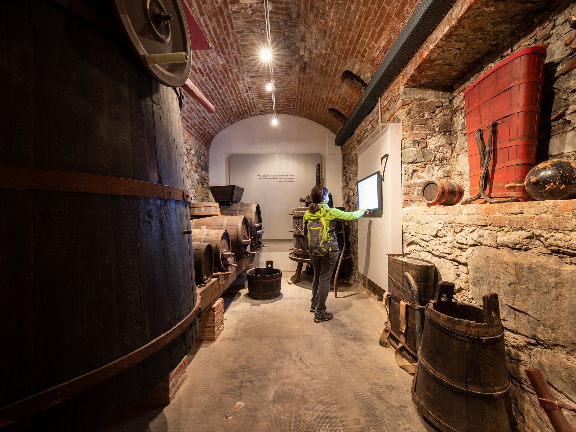 museum of wine and grapevine