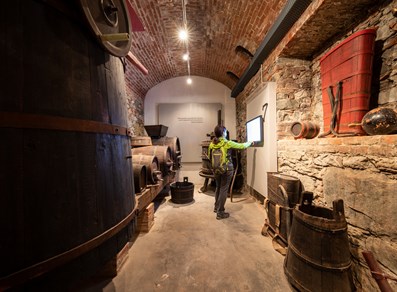 museum of wine and grapevine