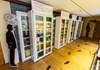 Biblioteca del fumetto - Morgex