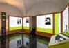 Museo di scienze naturali - castello di Saint-Pier