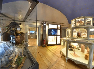 Museo di scienze naturali - castello di Saint-Pier