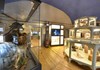 Museo di scienze naturali - castello di Saint-Pier