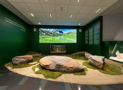 Museo di scienze naturali - castello di Saint-Pier