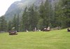 Area picnic "Eyo Colletesand"