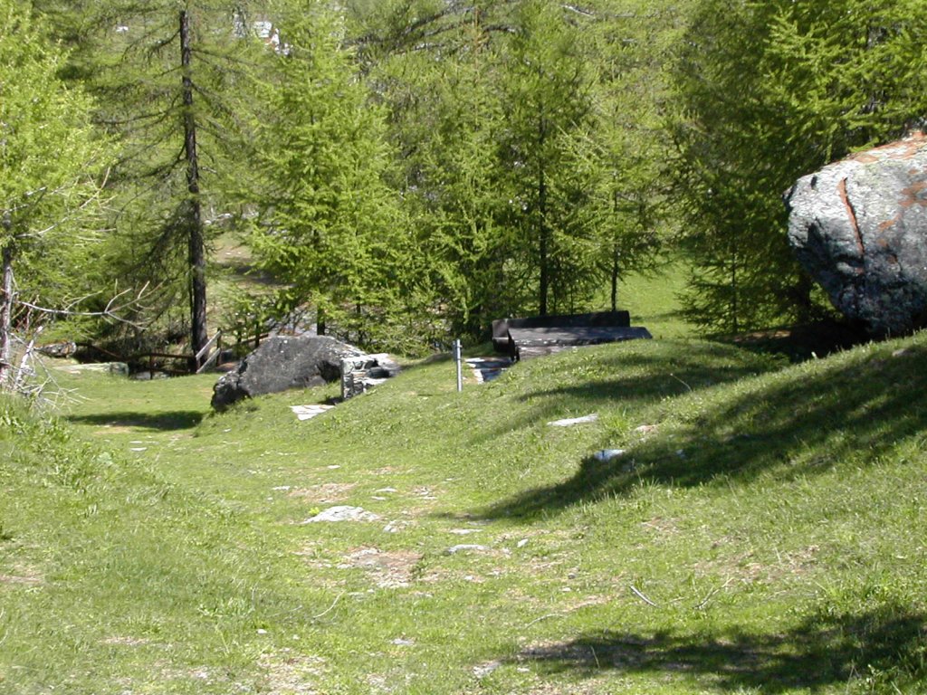 Area pic nic "Plan Moulin" - Valgrisenche