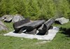 Area pic nic "Plan Moulin" - Valgrisenche