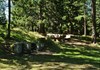Area pic nic "La Genzianella" - Morgex