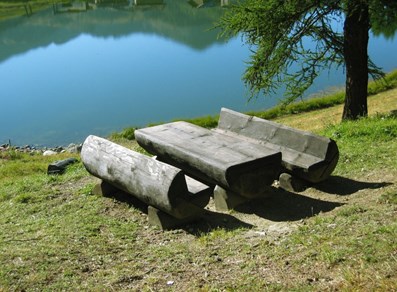 Area pic nic "Lago di Lod" - Chamois
