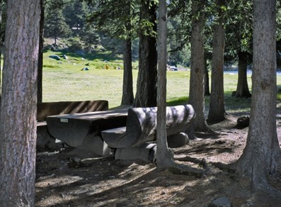 Aire de pique-nique "Bosco di Lexert" - Bionaz