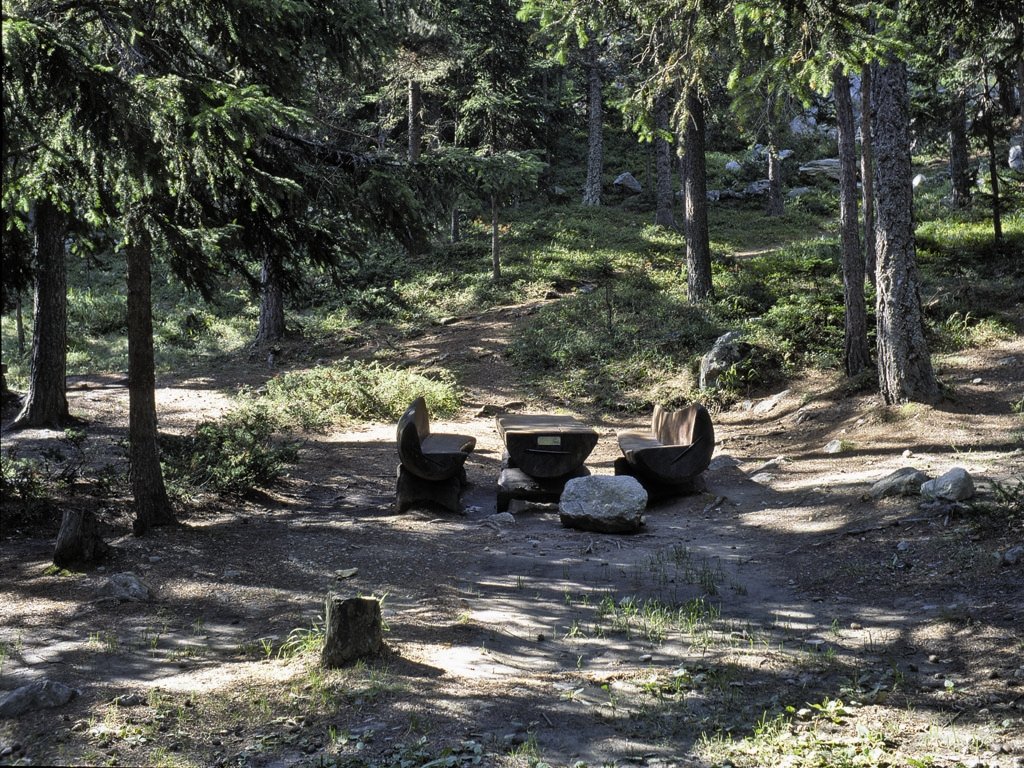 Area pic nic "Bosco di Lexert" - Bionaz