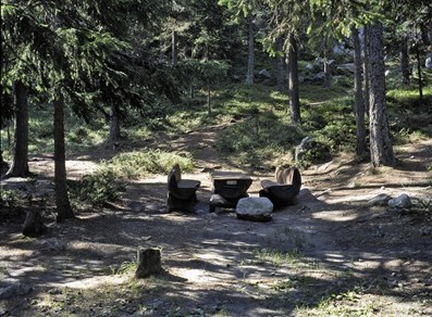 Area pic nic "Bosco di Lexert" - Bionaz