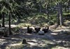 Area pic nic "Bosco di Lexert" - Bionaz