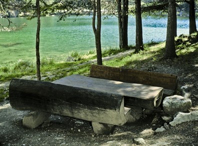 Area pic nic "Bosco di Lexert" - Bionaz