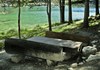 Area pic nic "Bosco di Lexert" - Bionaz