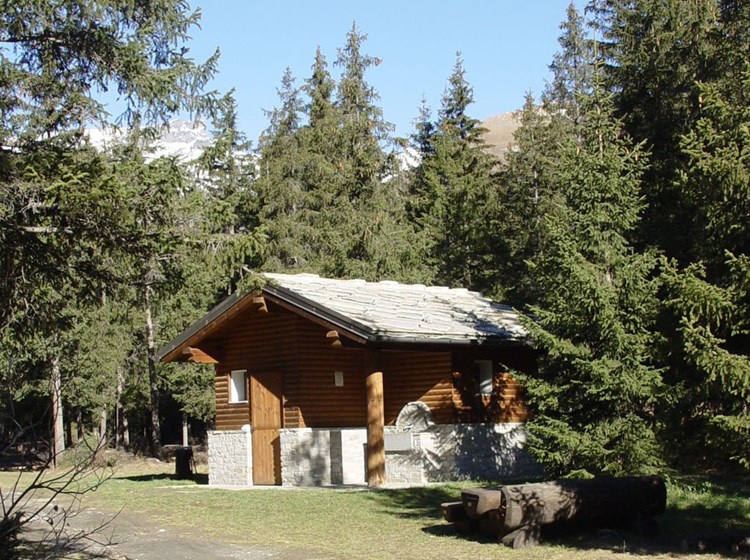 Area pic nic "Plan Villy" - Ayas