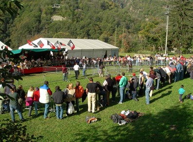 Bataille des Chèvres a Perloz