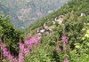 Il ripido versante del villaggio Farettaz