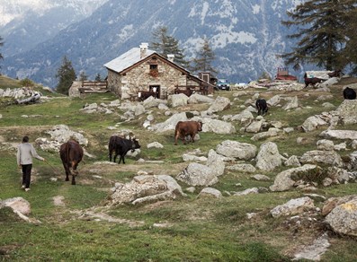 Issime - Vallone di San Grato