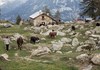 Issime - Vallone di San Grato