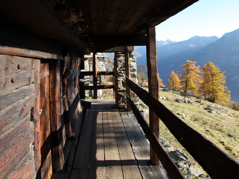 Old planks
